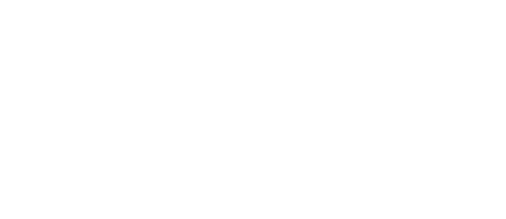 SAUDI ARABIA AT THE ITU COUNCIL